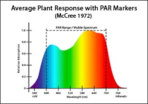 Light spectrum for deals seedlings